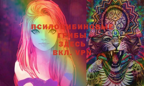 гидра Алексин