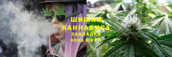 сатива Алексеевка